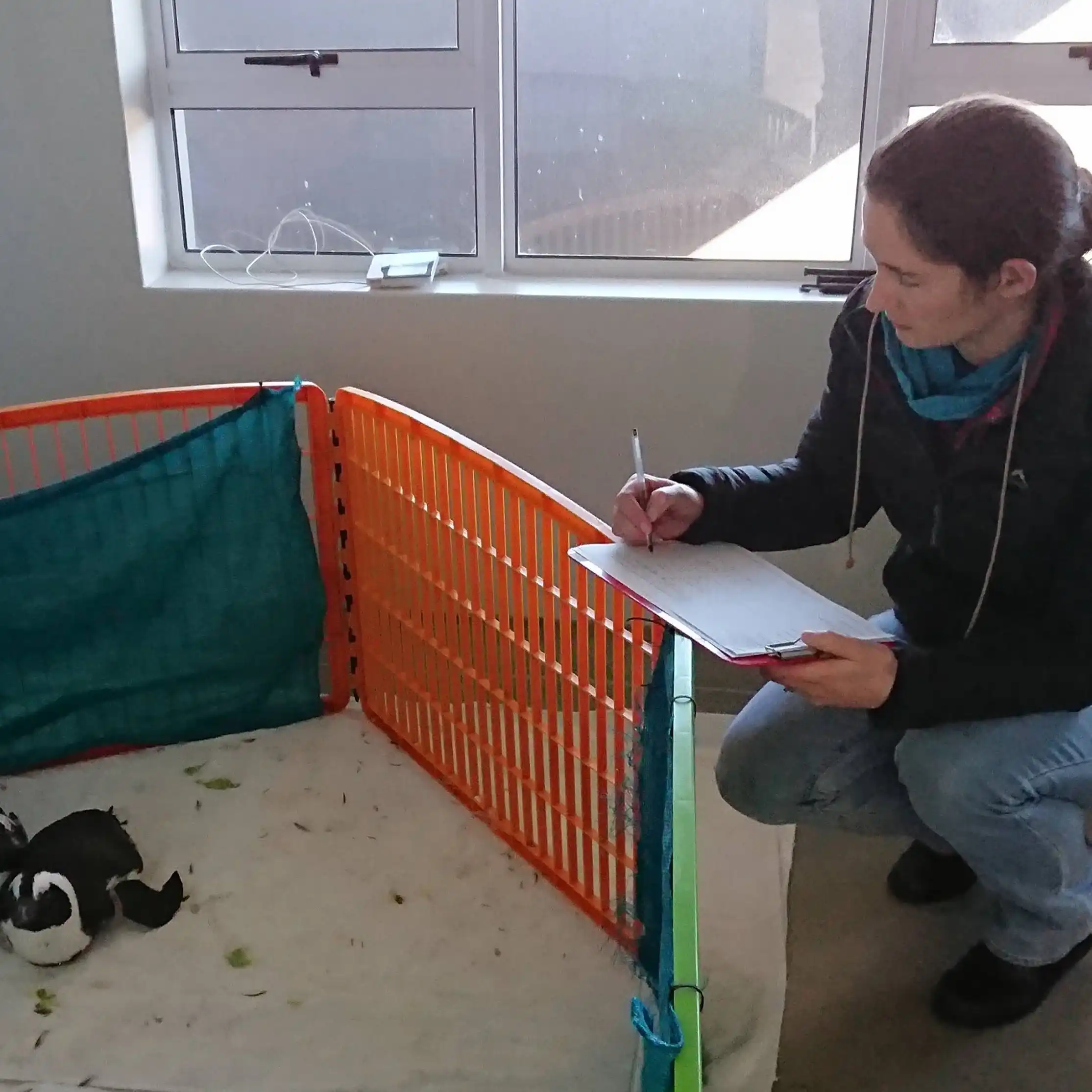 Dr Laura Christl Roberts